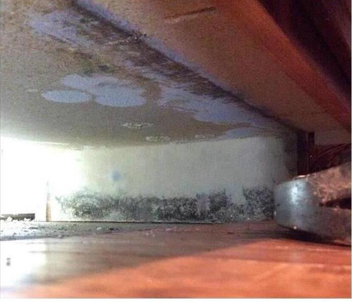 mold remnants in crawlspace