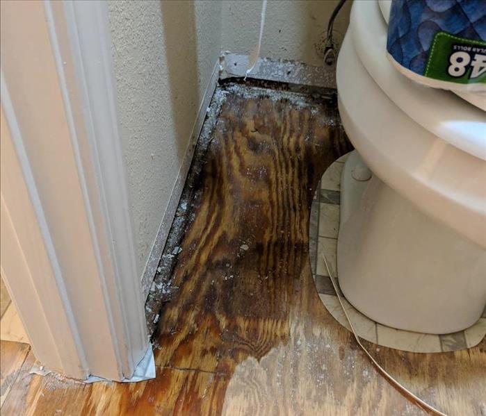 toilet water damage